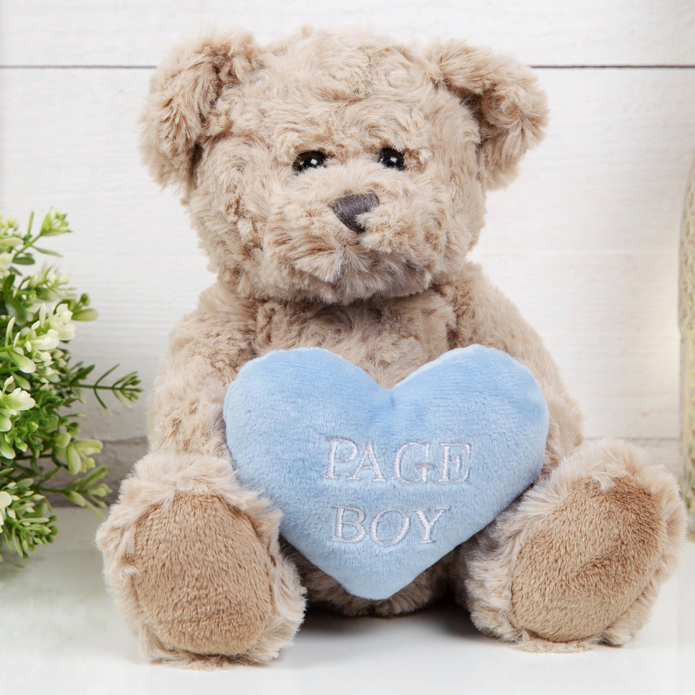 Page on sale boy teddy