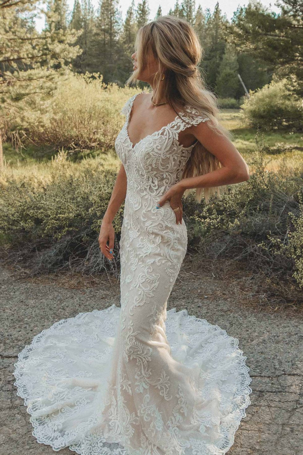 Beautiful Lace Fit and Flare Wedding Dress